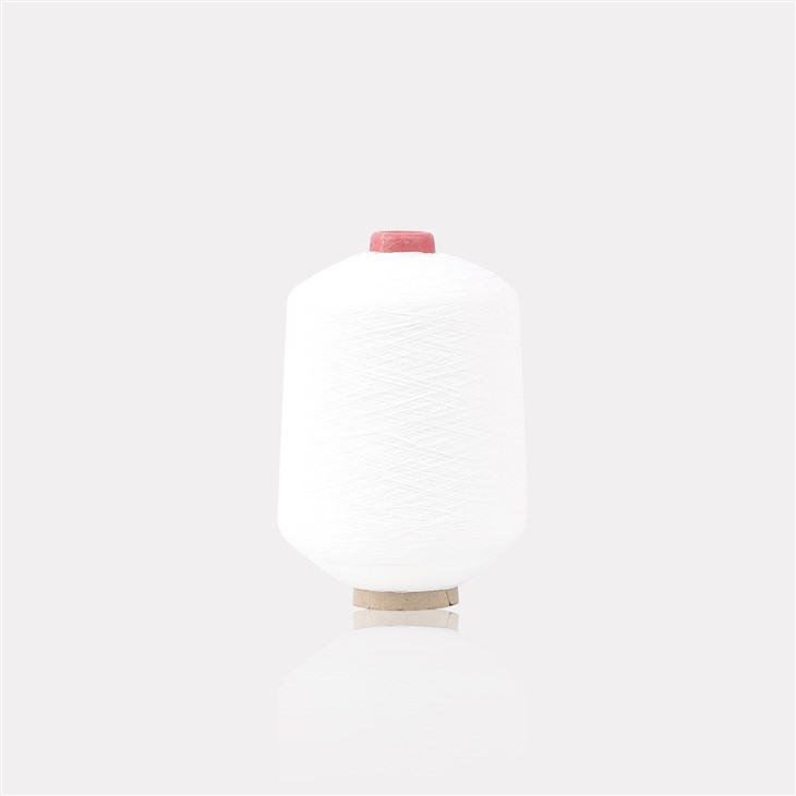 Rubber Covered Nylon Yarn